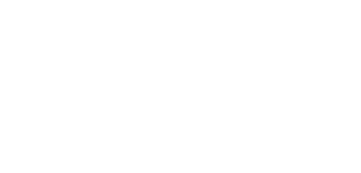 Polemika